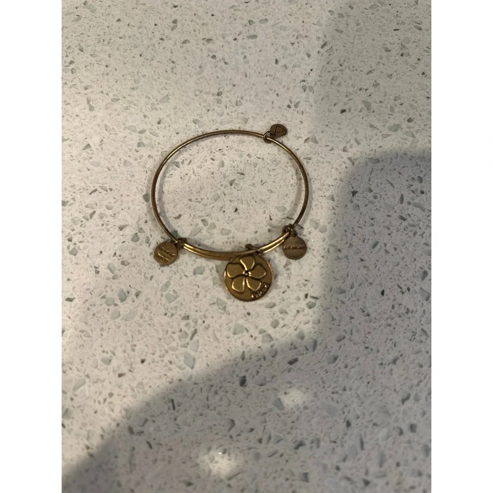 ALEX AND ANI bracelet bundle includes 9 bracelets ‎ (g1)